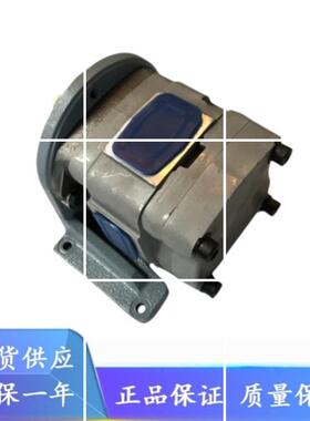 NACHI不二越IPH-4A/4B-20/25/32-L/E/LT/ET-20/11/21油压齿轮泵浦