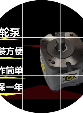 现货齿轮泵IPH-2A油泵6.511-工业8注塑机-IPH-2A-机械-11