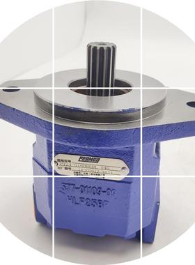 现货P7200-F80NL467-P124A085TXZA10P12454天津泊姆克齿轮泵G10MG