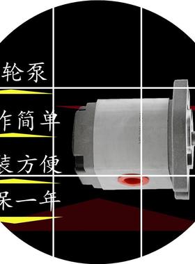 现货高压齿轮泵 HGP-1AF8RF1R 2R 3R   5R 6R - HGP-2A4R台湾新鸿