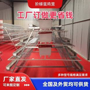 四层五门阶梯养殖笼家用养殖厂直供大号双边四层镀锌丝鸡笼可外贸