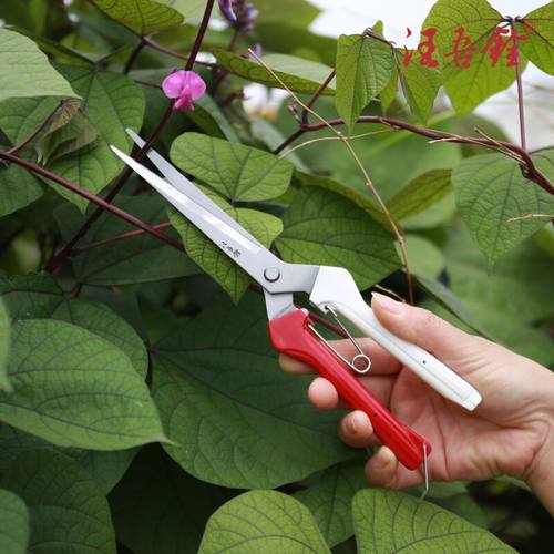 汪吾铨套餐工具家用园艺剪刀