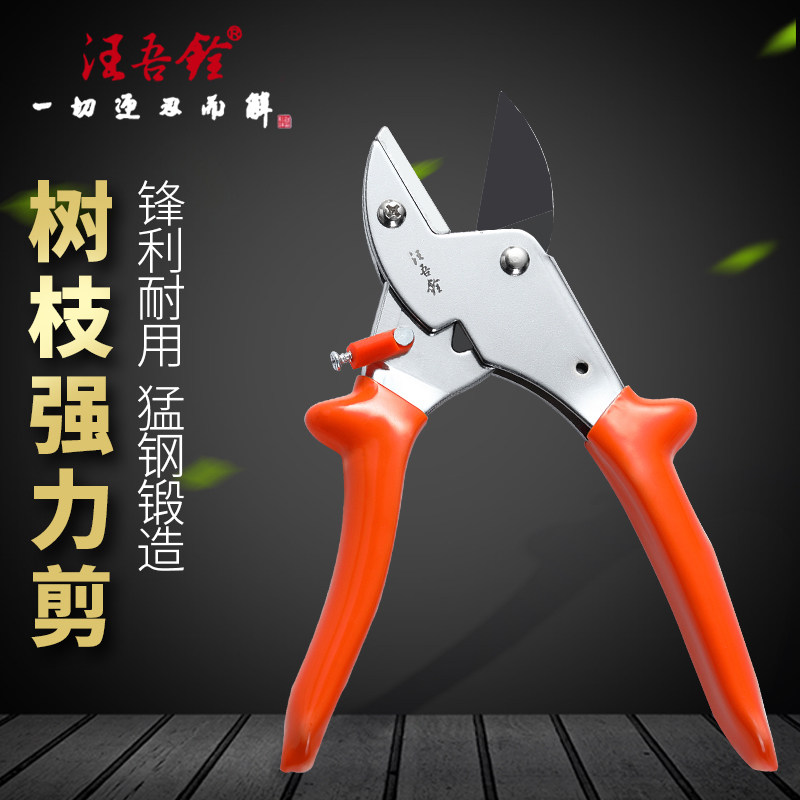 汪吾铨剪刀园艺剪刀修枝剪树枝剪家用花剪枝剪刀果树强力剪园林剪,居家日用,园艺刀剪,淘宝优惠券,粉丝福利购,淘宝优惠卷
