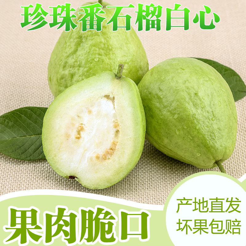 广东珍珠番石榴白心芭乐2018现摘白肉新鲜孕妇水果5斤湛江特产