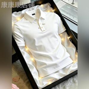 轻奢男士透气刺绣短袖t恤polo衫夏季新款时尚都市休闲风百搭上衣