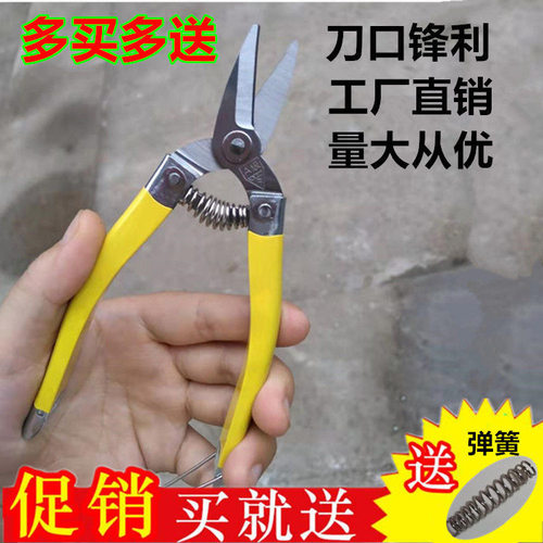 摘果枝剪剪刀橘子摘果剪不锈钢