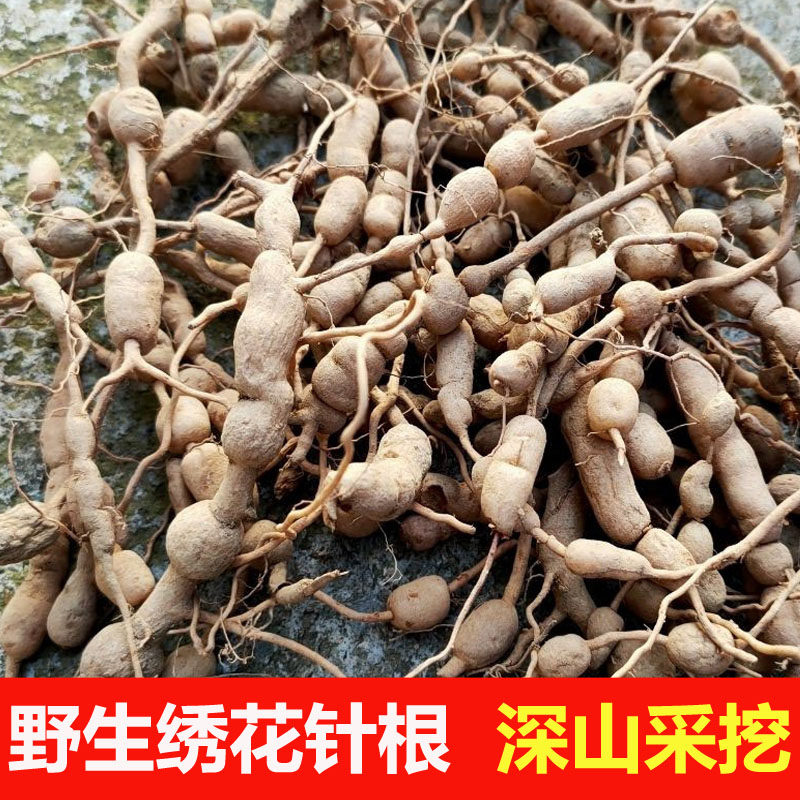 野生中药材 老虎刺中药材虎刺根 老鼠刺 绣花针根 伏牛花根 晒干