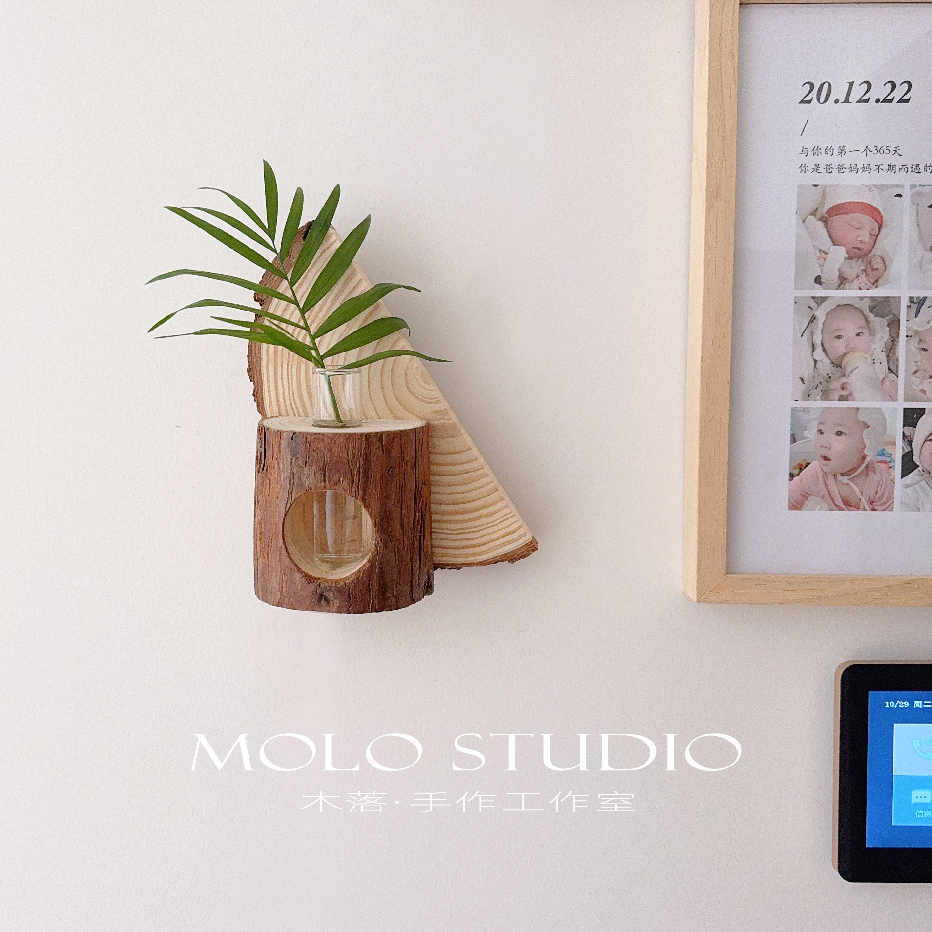 木落天然实木树桩水培绿植挂件