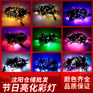 led彩灯黑线公母接挂灯满天星节日装饰灯户外防水工程亮化小彩灯