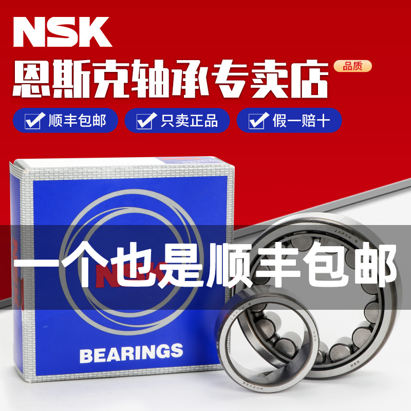 进口日本NSKJ22102211221