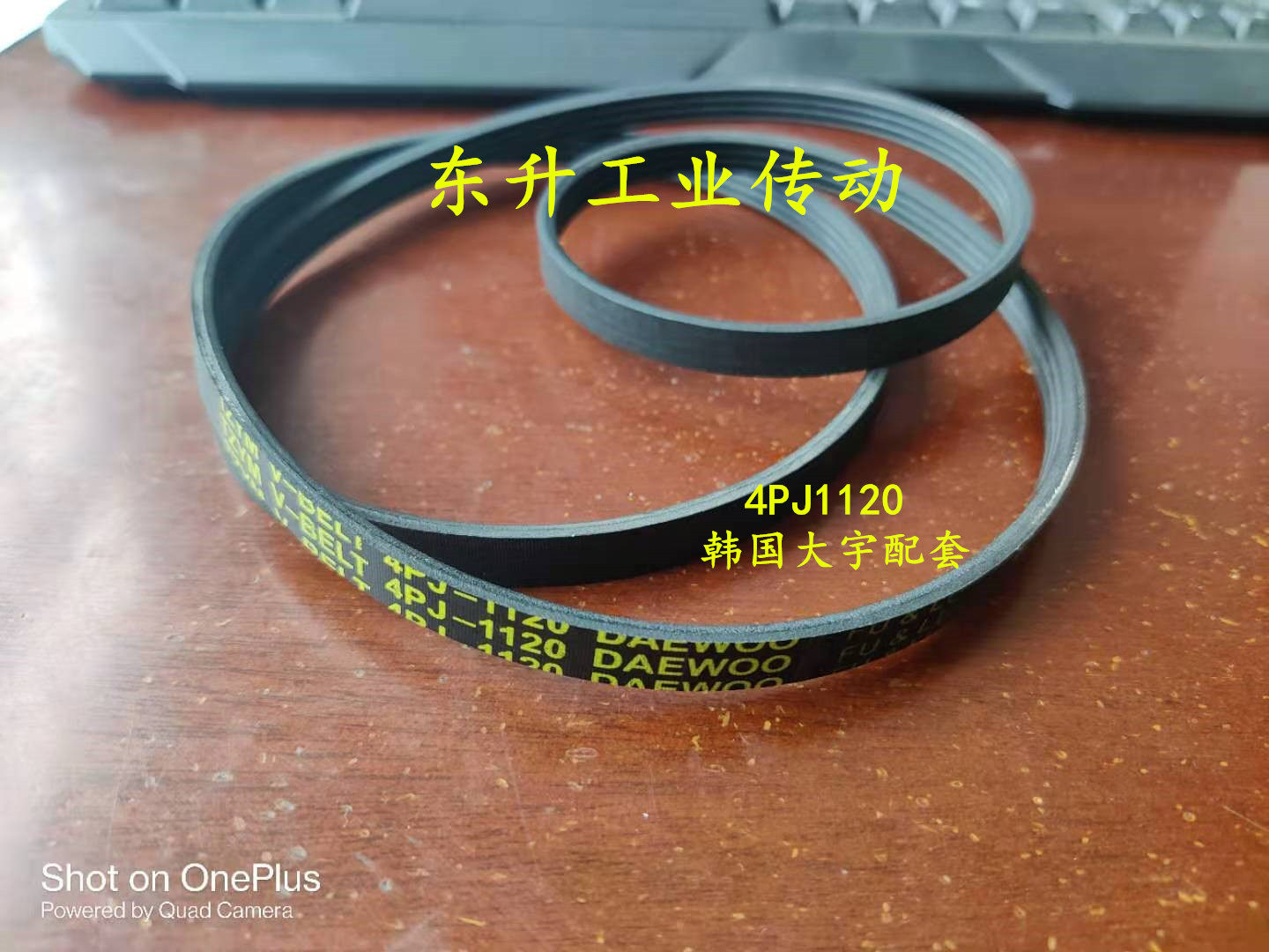 干衣机洗衣机皮带6PH1228 8EPH1258 9PH1860 A2159Li烘干机多楔带