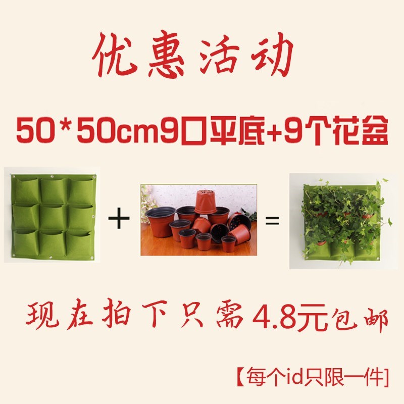 Ñǫ̂ÖÖÖ²ÉñÆ÷´¹Ö±ÂÌ»¯Ö²ÎïǽÂÌֲǽ±Ú¹ÒÖÖÖ²Åè¹Òǽ»¨ÅèÁ¢ÌåÖֲ˴ü
