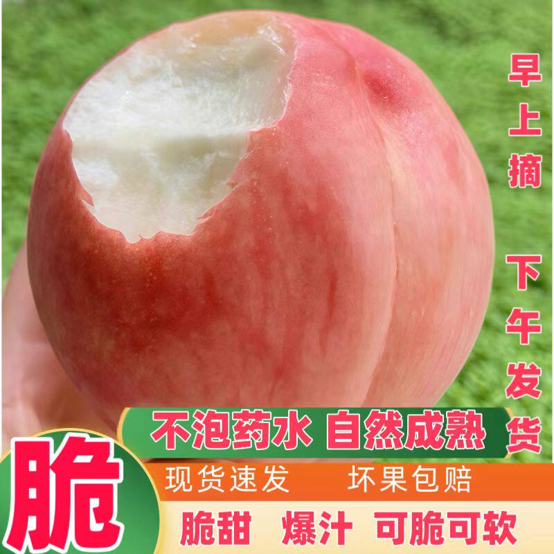 四川新鲜胭脂水蜜桃子脆甜硬应季现摘水果水蜜桃毛桃子5斤包邮