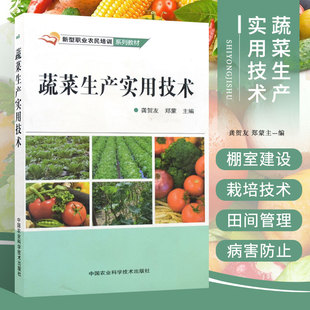 蔬菜生产实用技术 蔬菜栽培技术大全书籍 蔬菜病虫害防治技术棚室豆角 茄子土豆种植技术 无公害蔬菜栽培 中国农业科学技术出版社