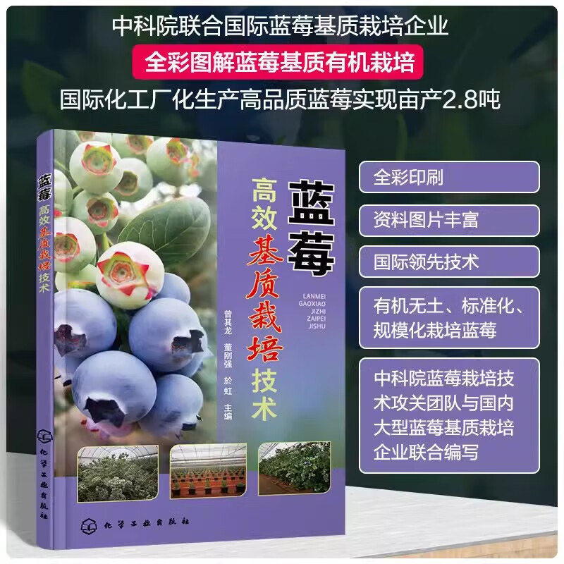 蓝莓高效基质栽培技术 全彩图解蓝莓有机栽培 蓝莓种植技术大全书种蓝莓书 蓝莓果园建设肥水管理整枝修剪病虫害防治果实采收详解