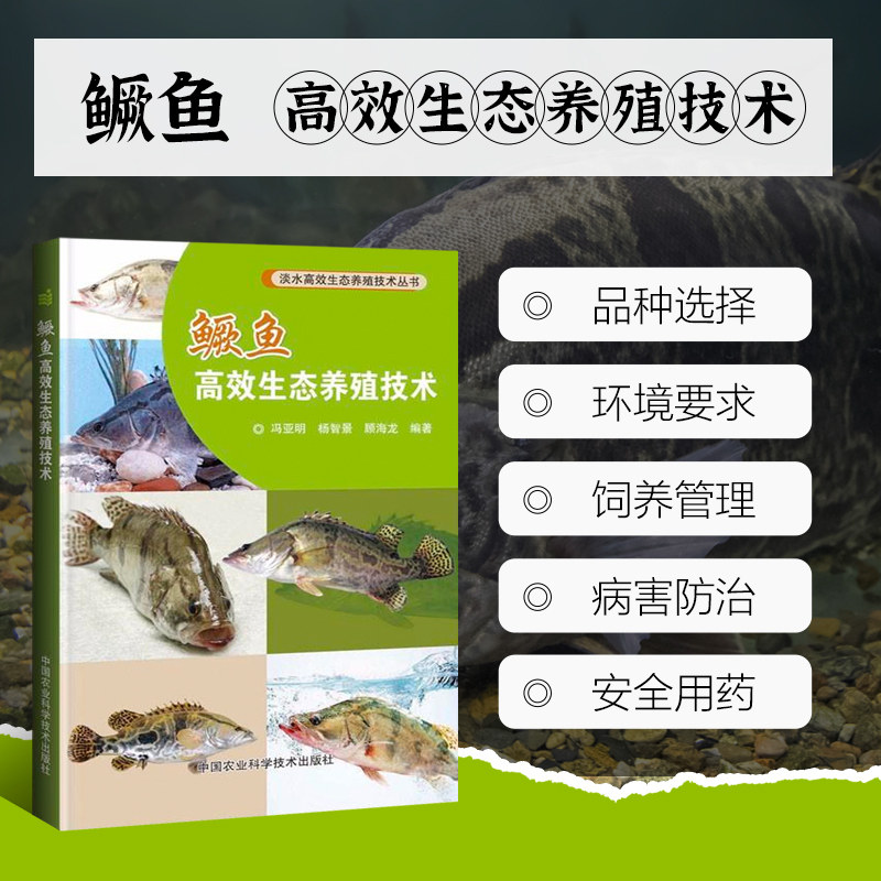 正版 鳜鱼高效生态养殖技术 冯亚明，杨智景，顾海龙 畜牧/养殖专业科技 中国农业科学技术出版社 9787511637383