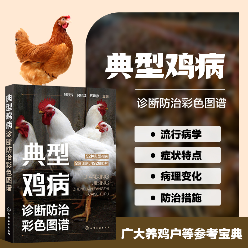 典型鸡病诊断防治彩色图谱 鸡病防治安全用药常见传染病鉴别 鸡病鉴别诊断图谱 鸡病类症鉴别诊治彩色图谱 兽医手册 养鸡技术大全