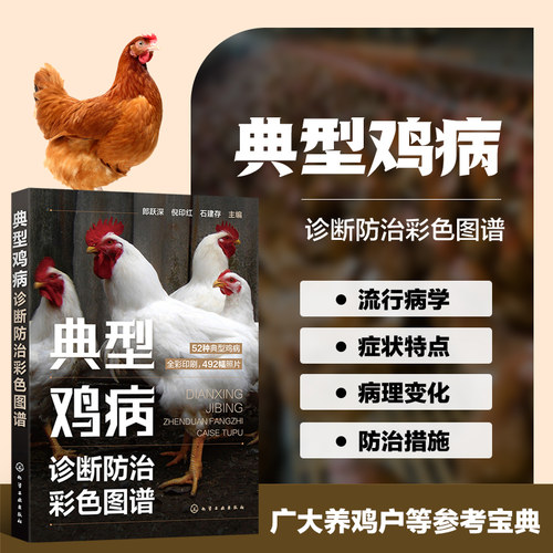 典型鸡病诊断防治彩色图谱 鸡病防治安全用药常见传染病鉴别 鸡病鉴别诊断图谱 鸡病类症鉴别诊治彩色图谱 兽医手册 养鸡技术大全