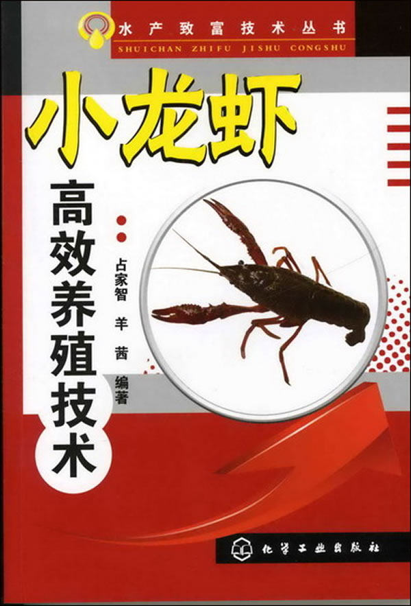 正版现货 小龙虾高效养殖技术 水产致富技术丛书 龙虾人工繁殖技术教材 专jia讲解苗种培育高效饲养大全 病虫害防治 化学工业