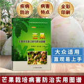 芒果主要病虫害诊断与防治图解杧果精准栽培技术种植芒果树病虫害防治技术大全果树病虫害防管理芒果高效栽培种植技术大全书籍