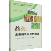 唐庆华等编著 针对槟榔生产上 槟榔黄化病 正版 椰心叶甲等主要病虫害 槟榔主要病虫害原色图谱 线状病毒病 中国农业科学技术 书籍