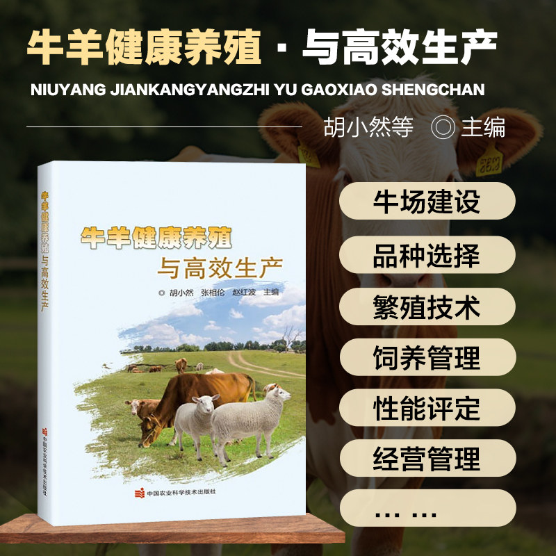 牛羊健康养殖与高效生产 牛羊养殖技术大全 奶牛肉牛羊选种选育繁殖技术日粮配置饲养管理生物安全牛病羊病诊断治疗预防技术指导书