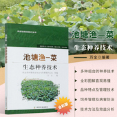 菜生态种养技术 农业生态实用技术丛书 中国农业出版 正版 农业农村生态与资源保护总站 池塘渔 社 万全编 书籍