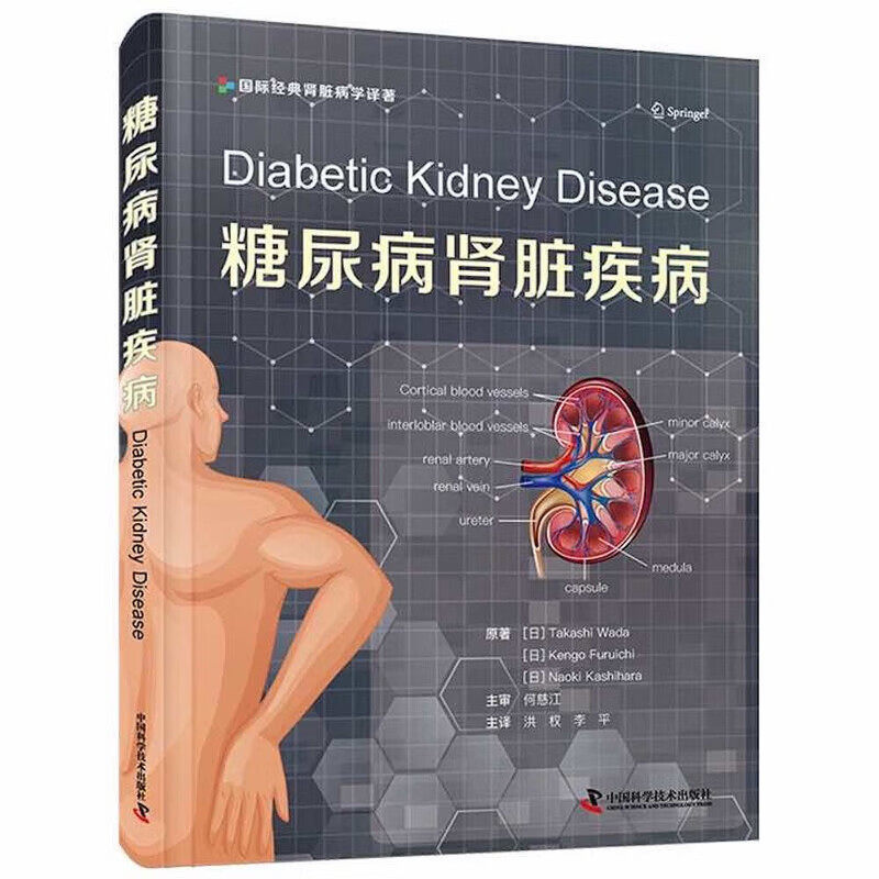 糖尿病肾脏疾病 病因机制 临床流行病学 分期诊断与综合治疗策略 血糖管控 肾功能保护及并发症防治要点 临床用药方案与饮食调理