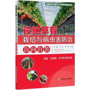 设施草莓栽培与病虫害防治百问百答 草莓 生理特征草莓品种草莓种苗繁育草莓促成栽培 社 正版 草莓种植栽培技术 中国农业出版