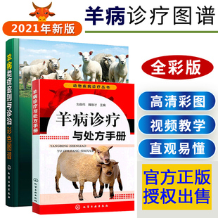 两本套 山羊养殖技术书羊病书症状诊断方法兽医书籍养羊技术书籍高效健康养羊 羊病诊疗与处方手册 羊病类症鉴别与诊治彩色图谱