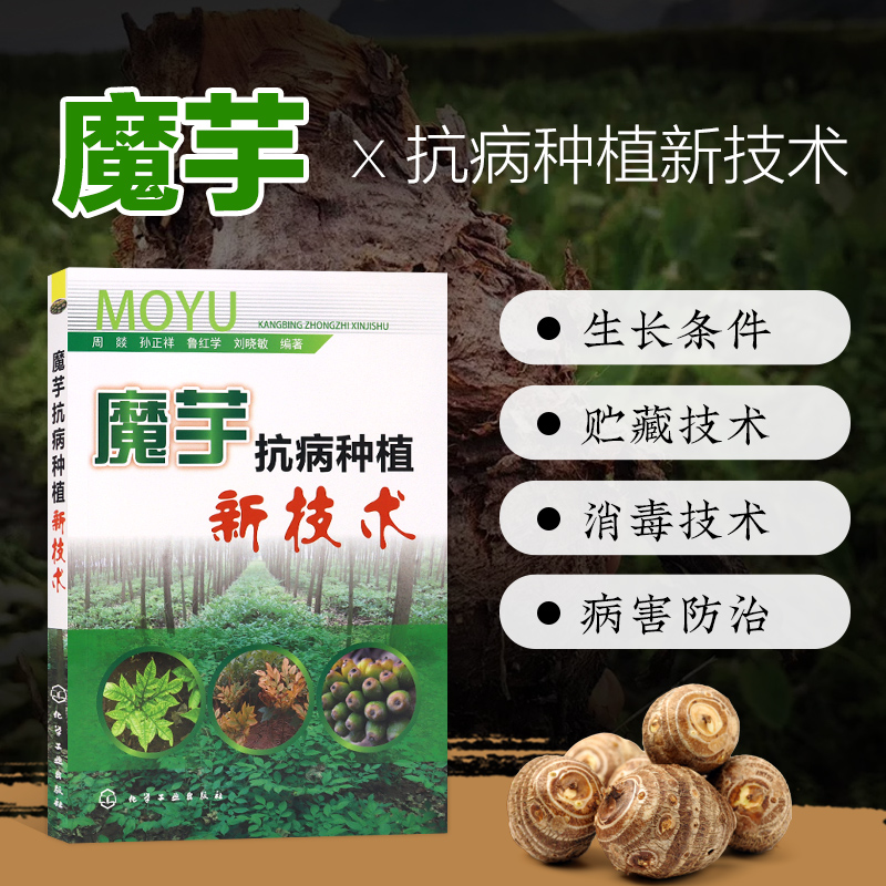 魔芋抗病种植新技术高产魔芋种植技术书鬼芋去肠砂磨芋高效栽培魔芋的种植技术知识大全资料教科书农业种植业书籍化学工业出版社