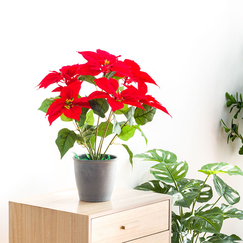 一品红仿真花7头圣诞红盆栽绢花塑料假花舞台工程装饰圣诞花摆件