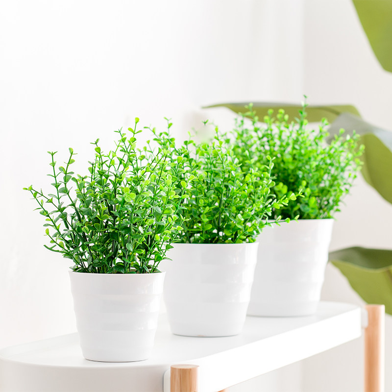 仿真植物小盆栽小清新尤加利桌面装饰小草盆栽幸运草塑料花草盆景