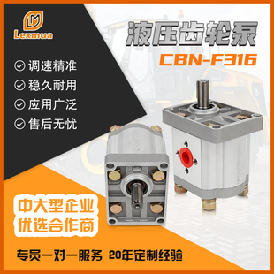 液压齿轮泵油泵总成CBN高压液压齿轮泵小型高压油泵大全泵头农机