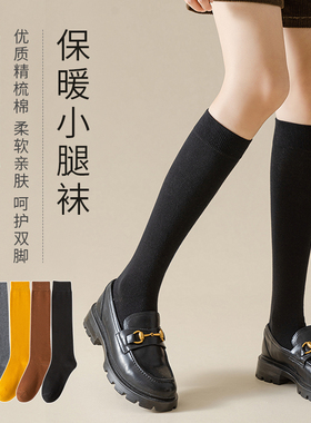 佩足袜子女网红秋冬黑色女士学院风春秋简约显微压长筒及膝小腿袜