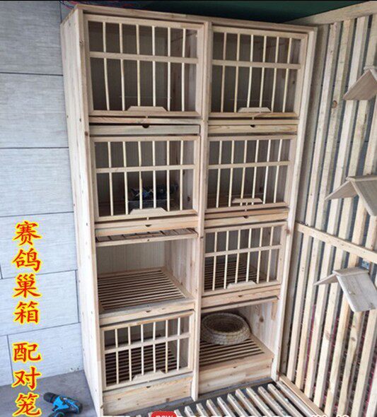 信鸽用品用具信鸽巢箱全实木