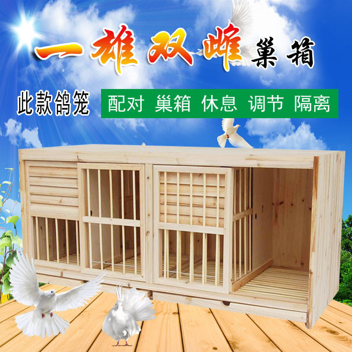 赛鸽巢箱 种鸽配对笼 一雄两雌配对笼 木质鸽笼 鸽舍建造