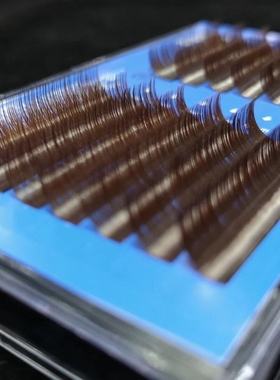 SDN花束栗红色睫毛 多根嫁接睫毛开花睫毛山茶花 美睫0.07秒开花