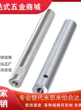 导向轴 SER06 07-D6 8 10 12 13 15 16 18 20 25 30 35