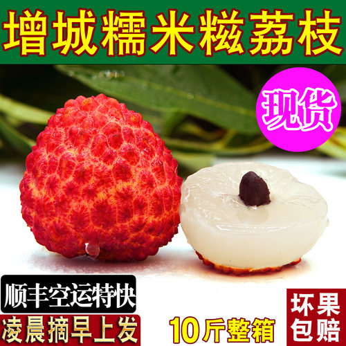 正宗增城糯米糍荔枝大果新鲜顺丰