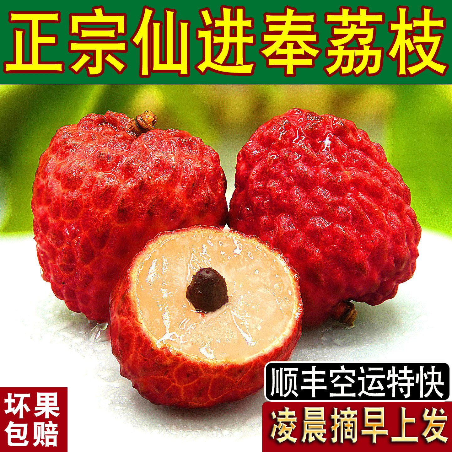 正宗仙进奉荔枝新鲜活2026当季水果整箱荔枝广东茂名荔枝顺丰空运