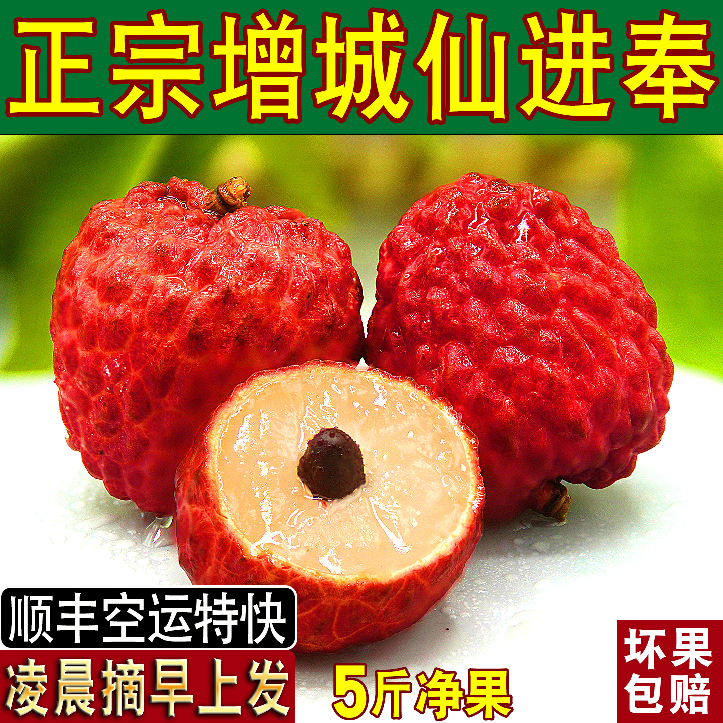 增城仙进奉荔枝新鲜现摘现发5斤礼盒装整箱广东广州鲜果应季当季