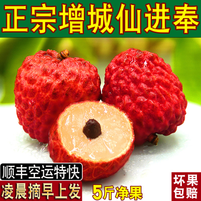 增城仙进奉荔枝新鲜现摘现发5斤礼盒装整箱广东广州鲜果应季当季