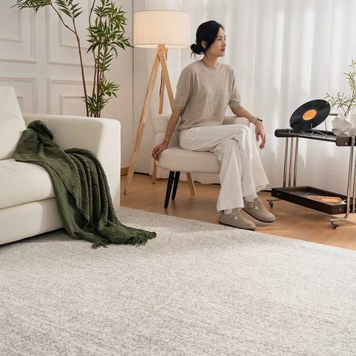 沙发地垫地毯客厅轻奢高级可擦免洗高级感防水家用加厚耐脏易打理