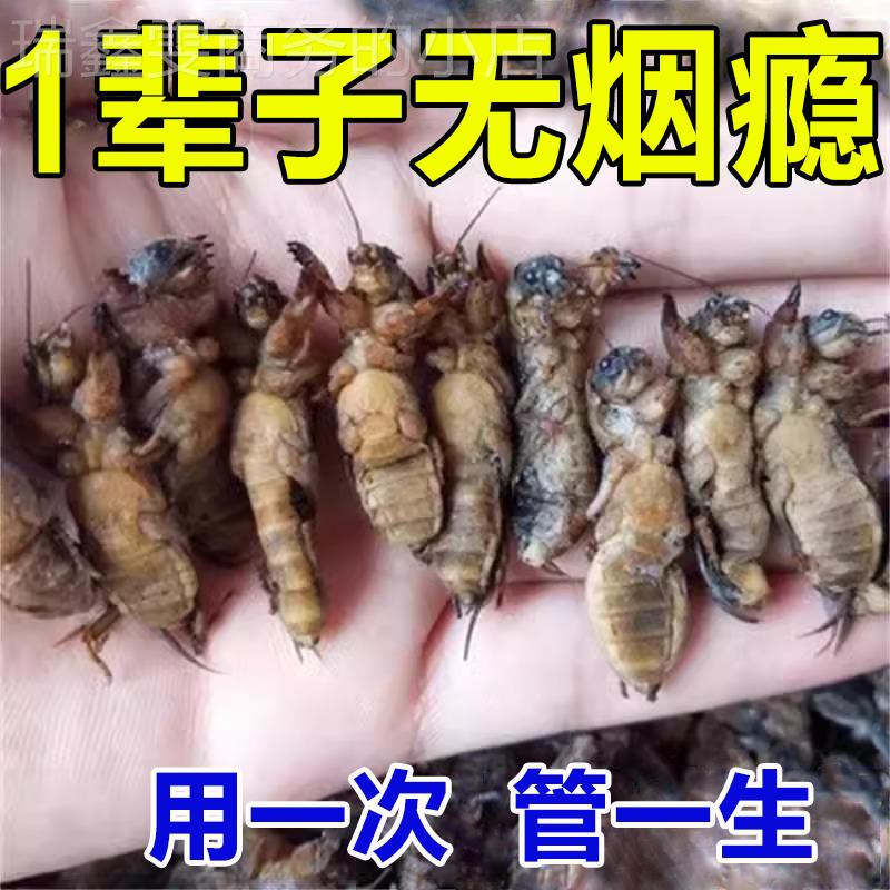 1贴断烟瘾】戒烟贴神器正品零食糖药品工具喷雾口香糖特效戒烟贴G