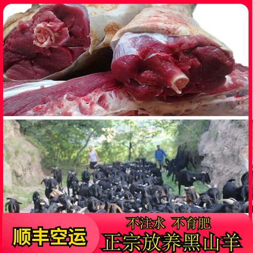 农家散养黑山羊肉新鲜现杀膻味小