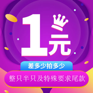 私人定制黑山羊专用