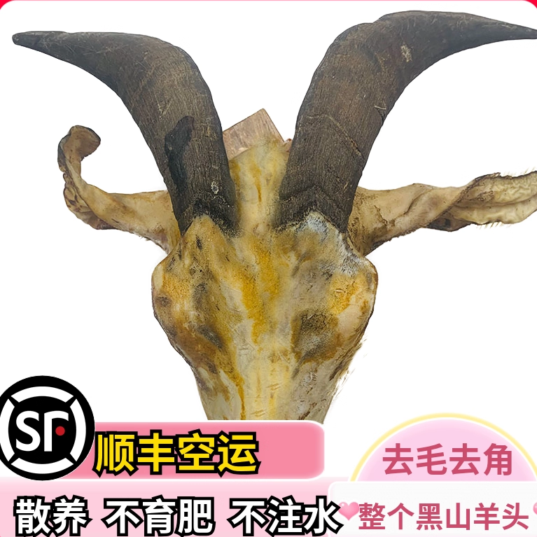 农家散养正宗跑山黑山羊带皮生羊肉新鲜羊头羊脑袋羊脑羊舌头包邮,水产肉类/新鲜蔬果/熟食,生羊腿,淘宝优惠券,粉丝福利购,淘宝优惠卷