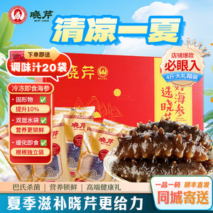 晓芹冷冻即食海参4斤大连海参2000g44-56只海参 大连海参500g特价