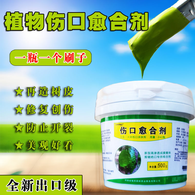 伤口涂补剂大树桩涂抹剂果树涂膜剂封口愈合修复愈合膏盆栽愈合剂,鲜花速递/花卉仿真/绿植园艺,介质/营养土,淘宝优惠券,粉丝福利购,淘宝优惠卷